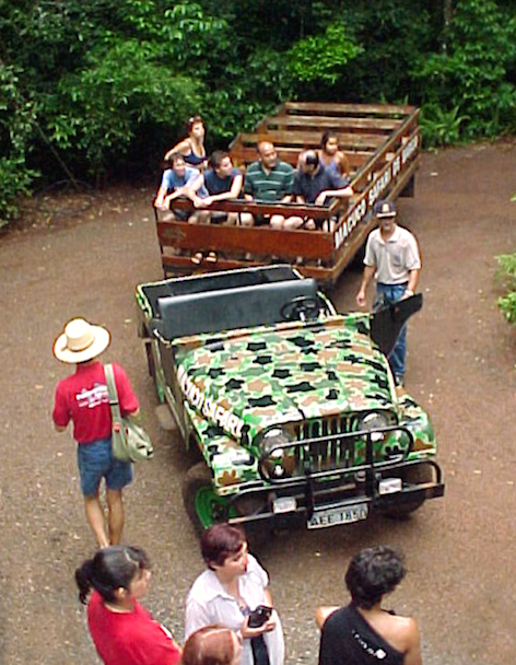 macuco jeep gasolina carreta 2001 mini
